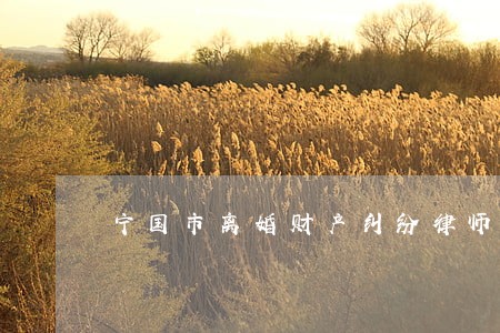 宁国市离婚财产纠纷律师找谁 宁国市离婚财产纠纷律师找谁