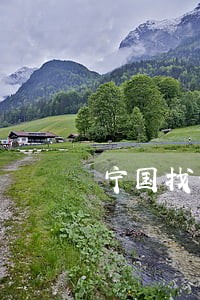 宁国找代理离婚律师咨询 宁国找代理离婚律师咨询