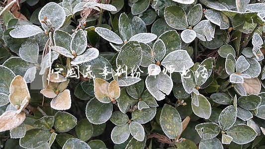 宁国民事纠纷律师电话 宁国民事纠纷律师电话