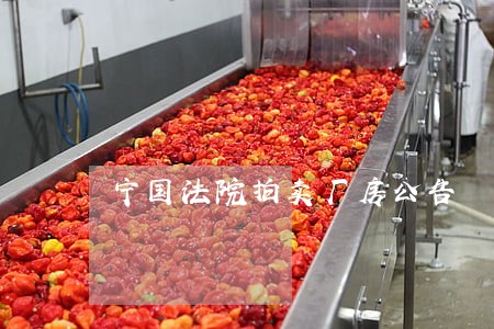 宁国法院拍卖厂房公告