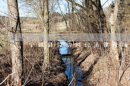 宁城县劳动纠纷法律咨询 宁城县劳动纠纷法律咨询