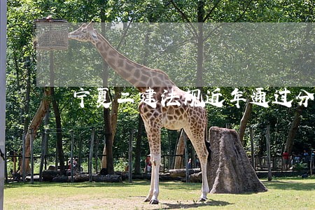 宁夏二建法规近年通过分数线