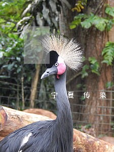 宁夏传染病法规