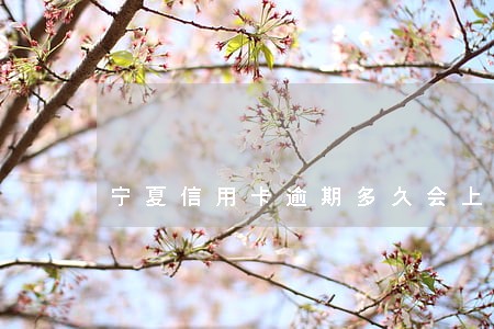 宁夏信用卡逾期多久会上征信