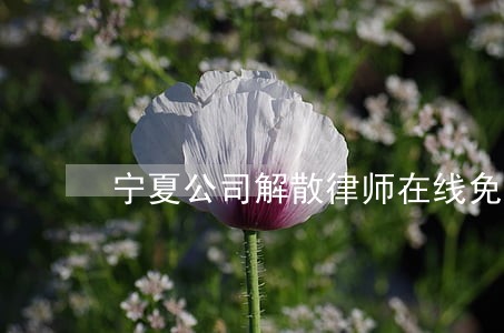 宁夏公司解散律师在线免费咨询 宁夏公司解散律师在线免费咨询