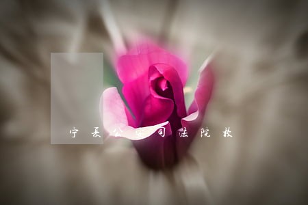 宁夏公安司法院校 宁夏公安司法院校