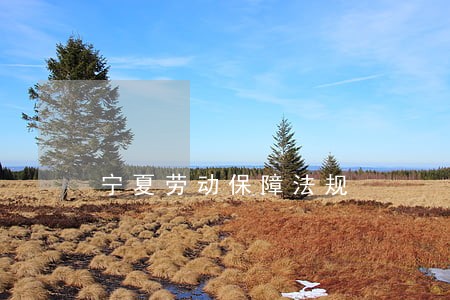 宁夏劳动保障法规