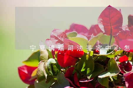 宁夏博瑞司法鉴定中心怎么样