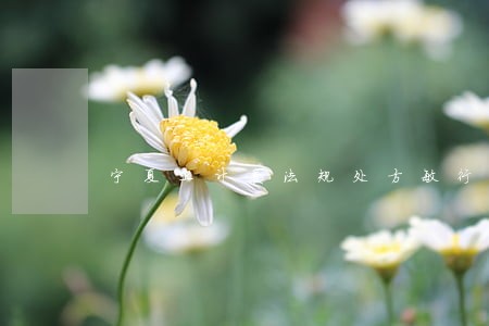宁夏卫计委法规处方敏行