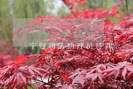 宁夏司法助理员待遇 宁夏司法助理员待遇