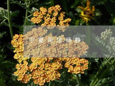 宁夏司法杨静 宁夏司法杨静