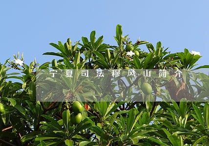 宁夏司法穆风山简介 宁夏司法穆风山简介