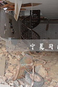 宁夏司法精神 宁夏司法精神