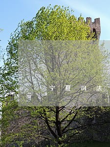 宁夏司法考试条件 宁夏司法考试条件