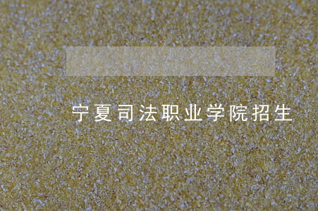 宁夏司法职业学院招生 宁夏司法职业学院招生