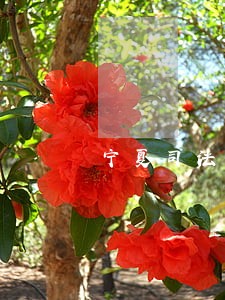 宁夏司法职业学院贴吧