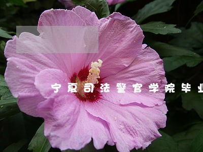 宁夏司法警官学院毕业证书 宁夏司法警官学院毕业证书