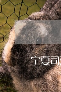 宁夏司法警官学院蒋娜 宁夏司法警官学院蒋娜