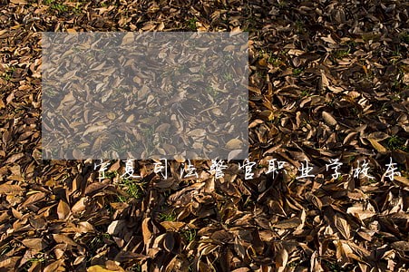 宁夏司法警官职业学校东营分校 宁夏司法警官职业学校东营分校