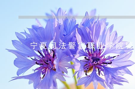 宁夏司法警官职业学院警察管理系