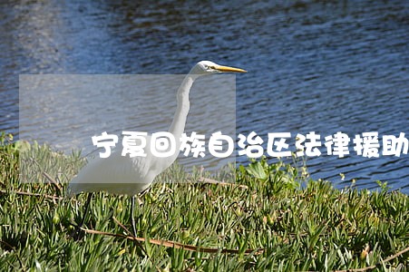 宁夏回族自治区法律援助条例 宁夏回族自治区法律援助条例