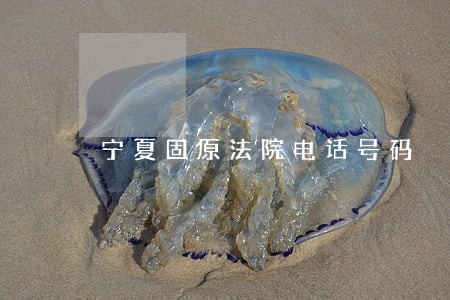宁夏固原法院电话号码 宁夏固原法院电话号码
