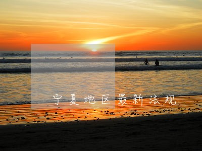宁夏地区最新法规 宁夏地区最新法规