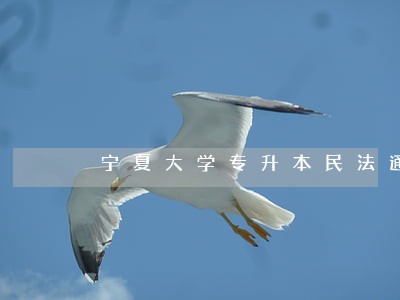 宁夏大学专升本民法通过率