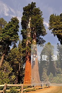 宁夏宝马药业环保违法