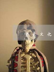 宁夏文化和旅游厅法规处 宁夏文化和旅游厅法规处