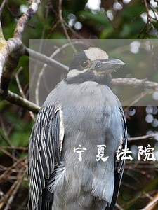 宁夏法院党风廉政建设 宁夏法院党风廉政建设