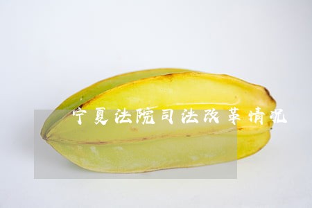 宁夏法院司法改革情况