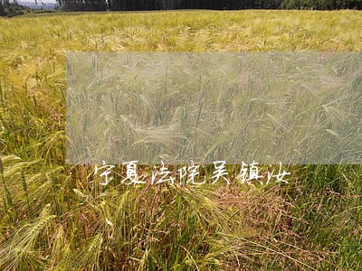 宁夏法院吴镇汝 宁夏法院吴镇汝