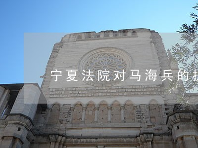宁夏法院对马海兵的执行情况