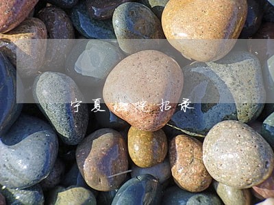 宁夏法院招录