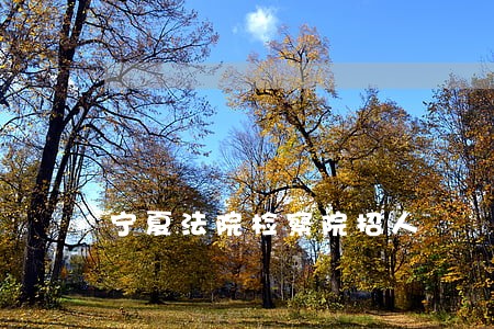 宁夏法院检察院招人