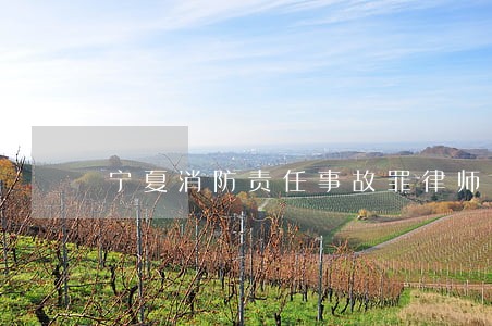 宁夏消防责任事故罪律师咨询 宁夏消防责任事故罪律师咨询