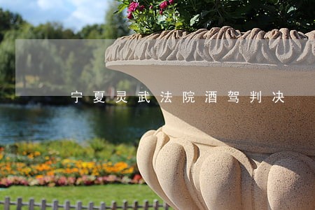 宁夏灵武法院酒驾判决 宁夏灵武法院酒驾判决