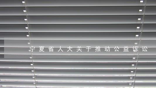 宁夏省人大关于推动公益诉讼 宁夏省人大关于推动公益诉讼