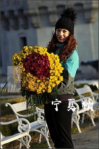 宁夏精英集团诉讼 宁夏精英集团诉讼