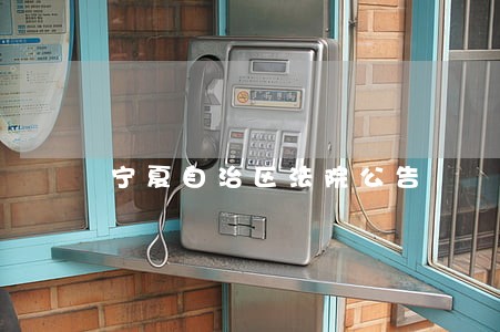 宁夏自治区法院公告 宁夏自治区法院公告