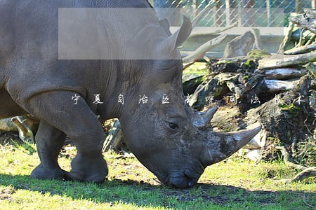 宁夏自治区高院司法技术管理处