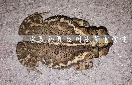 宁夏西夏区司法警官学院