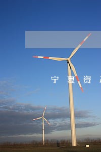 宁夏资产诉讼网 宁夏资产诉讼网
