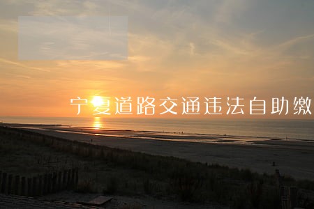 宁夏道路交通违法自助缴费