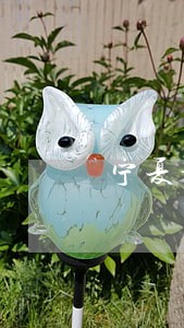 宁夏部署今后工作