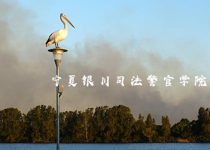 宁夏银川司法警官学院招生要求