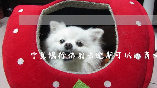 宁夏银行信用卡逾期可以协商吗 宁夏银行信用卡逾期可以协商吗