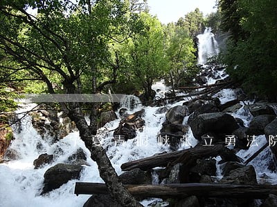 宁夏青铜峡张立勇法院刺决书