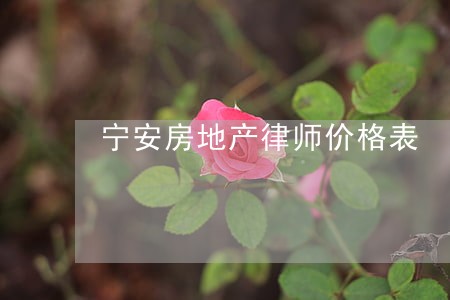 宁安房地产律师价格表 宁安房地产律师价格表